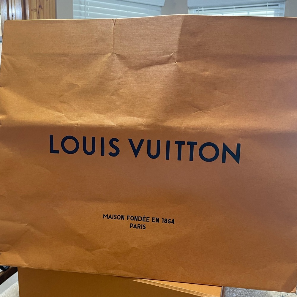 LV Shopper-Box-Dust Bag Empty - Picture 12 of 12